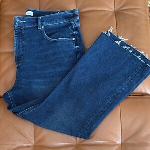 LOFT Dark Blue Frayed Hem Jeans NWT 16 petite